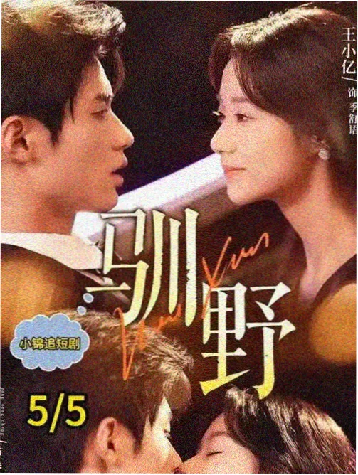 静水流深 剧集海报 禅意四季